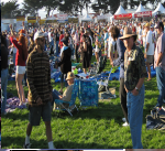LOGISTICS DIRECTOR SF BLUES FESTIVAL