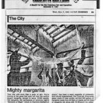 Press_Coverage_Of_SuperGuy_Project_pressorig_259